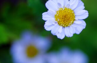 入院した時の聖書　～神様という保険～