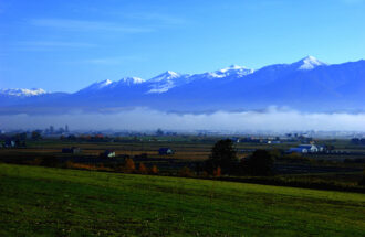 聖書の家系図　～名前と安心～