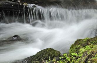 憎しみを感じる時の聖書　～どうにもならない憎しみに～