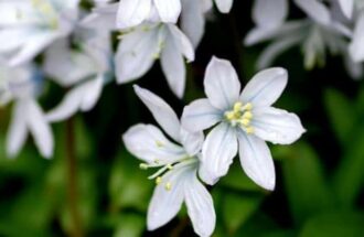 祈る時の聖書　～お祈りは手紙のようなもの～