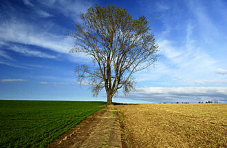 神様を裏切ってしまった時の聖書　～それでも信じられている～