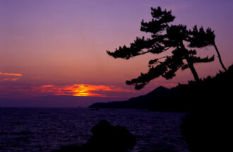 命と聖書　～私たちの製造元～