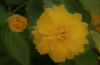 この世の終わりと聖書　～惑わされないで～