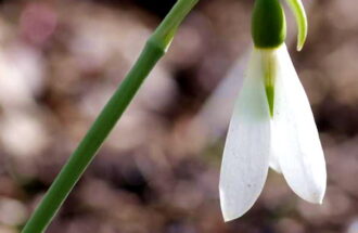 体調が悪い時の聖書②～調子が良くても悪くても～