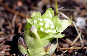 何のために生まれてきたのだろうと思う時の聖書～あなたが必要～