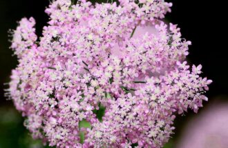 孤独な時の聖書②～ひとりの人などいない～