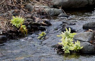 トラブルに遭った時の聖書～本当に因果応報？～