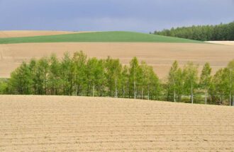 苦労している時の聖書～無駄にならない～